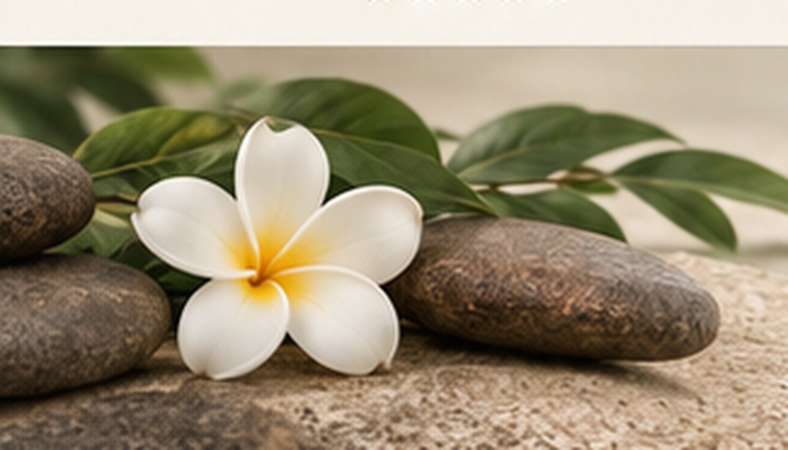 Wellness detail